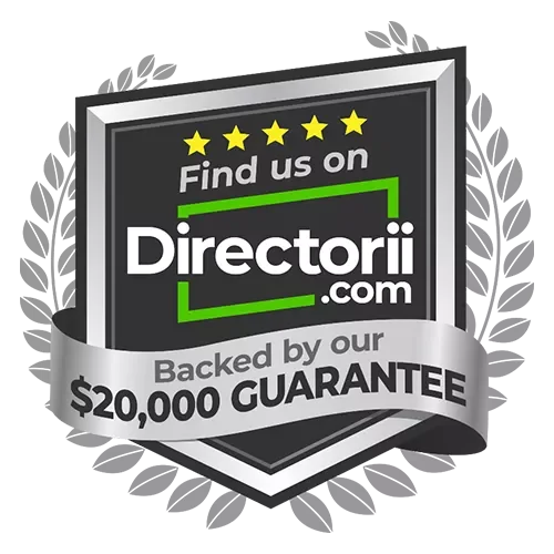 Directorii.com logo